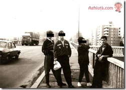 Pasarela Narcisa