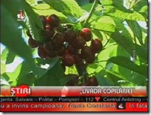 livada 1