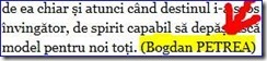 Ziarul de Bacau