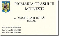 Vasile Ailincai