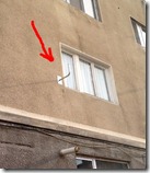 curiozitate