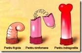 penis