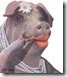 scroafa