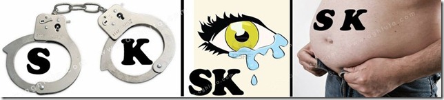 SK logo