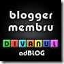 Divanul AdBlog