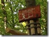 Parc distractii