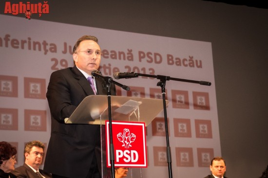 Gheorghe Nechita
