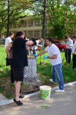 plantare