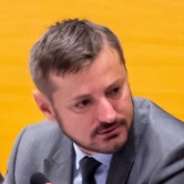Ionel Palar