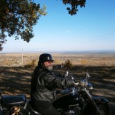 nicu baciu - plesesti