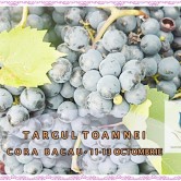 targul toamnei