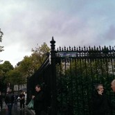 Paris (27)