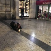 Paris (34)