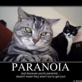 paranoia