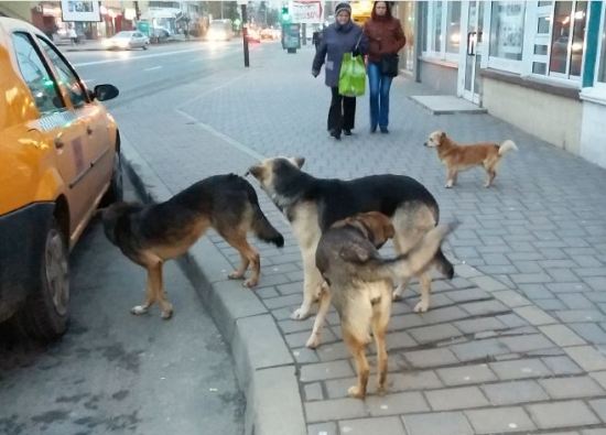 Nu mai fabrică nimeni mănuși?