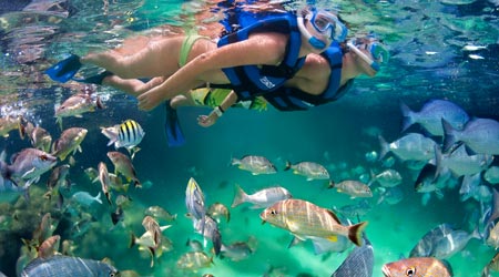 snorkelling