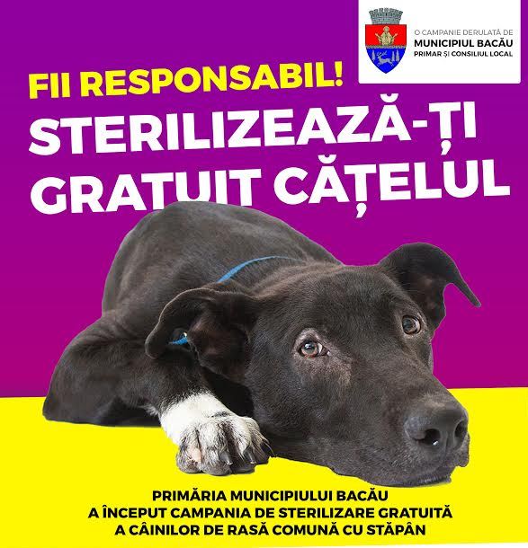 campanie caini