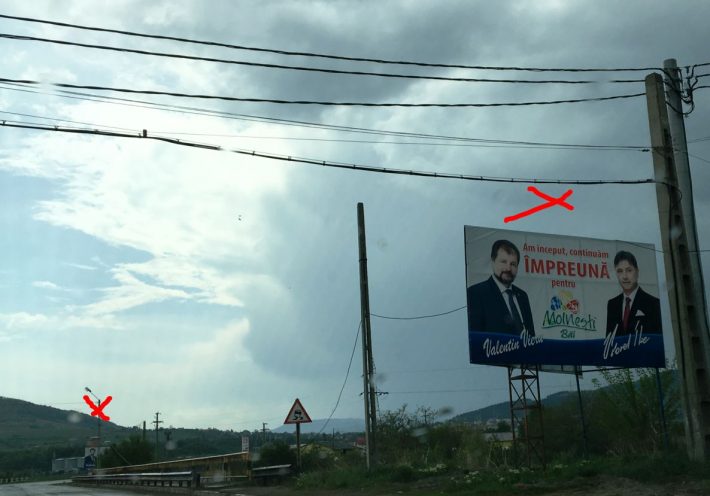 panouri electorale Moinesti