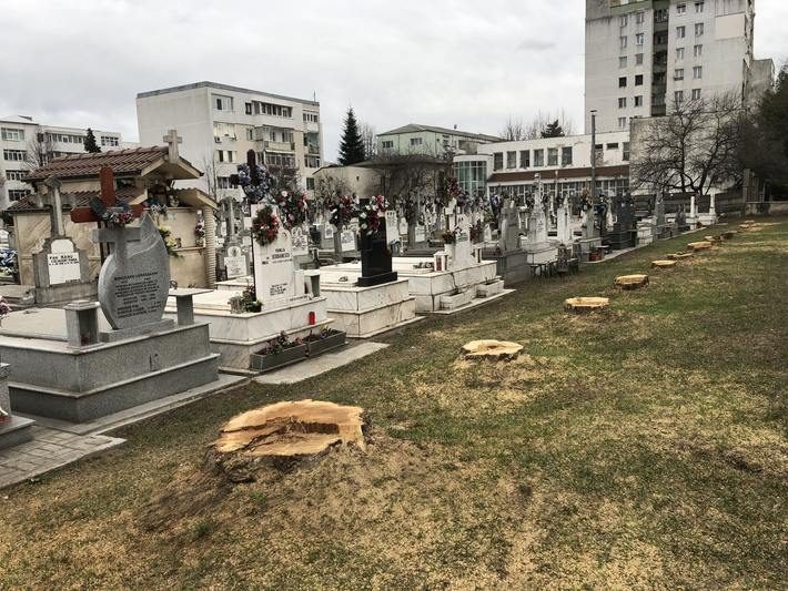 cimitirul central bacau